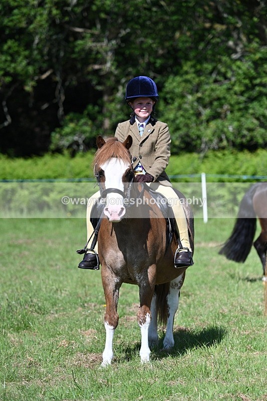WJ7_0377 - Class 8 First Rally Pony