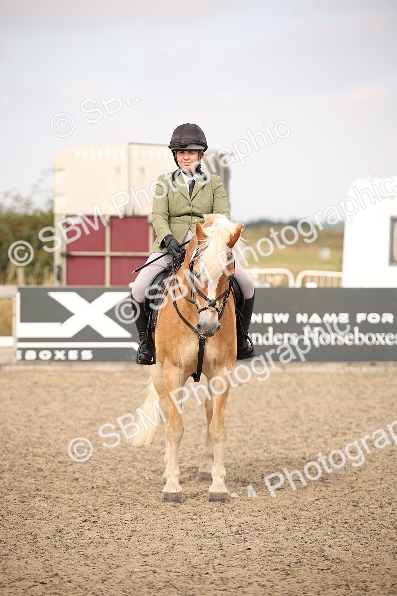 SBM_16229 - Class 409a - Working Veteran 80cm (15-19)