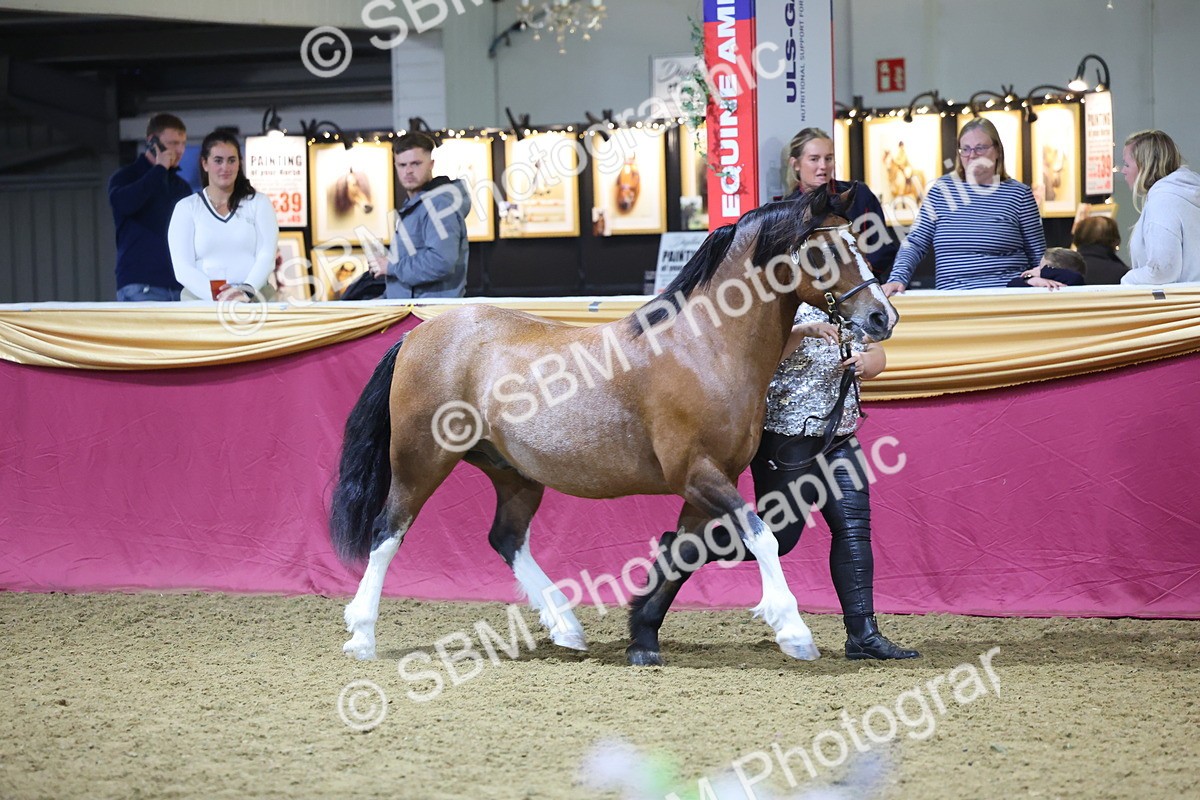 0B8A4406 - Class N M&M Champ