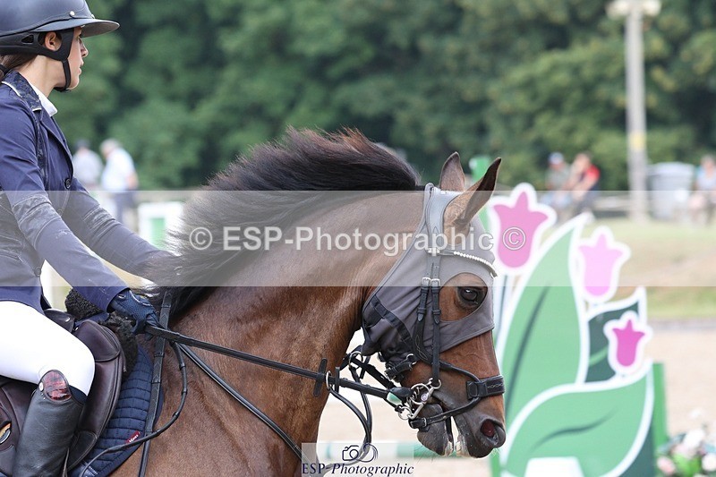 230617-094901-00880 - Cls 08a Pony 1.05