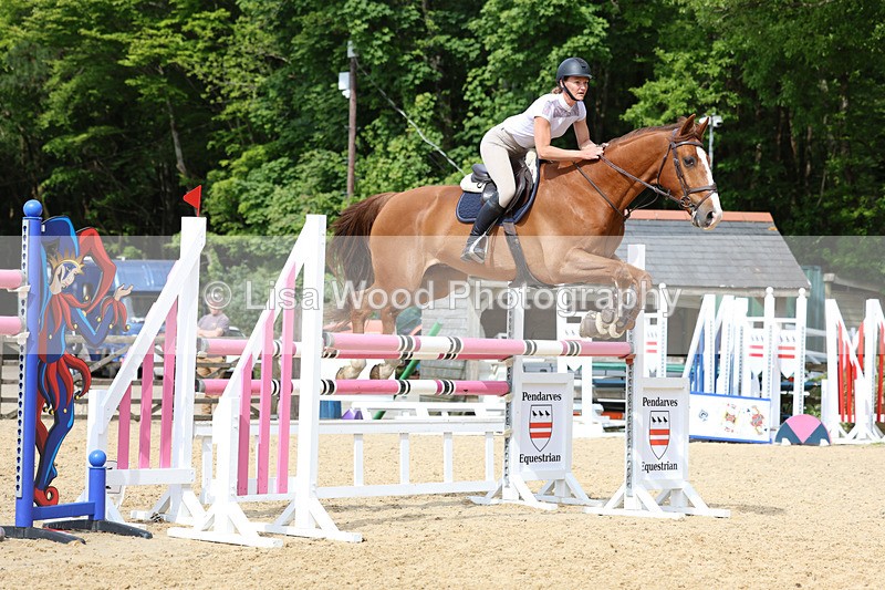 3E7A7744 - Class 8: Senior Foxhunter/1.20 open