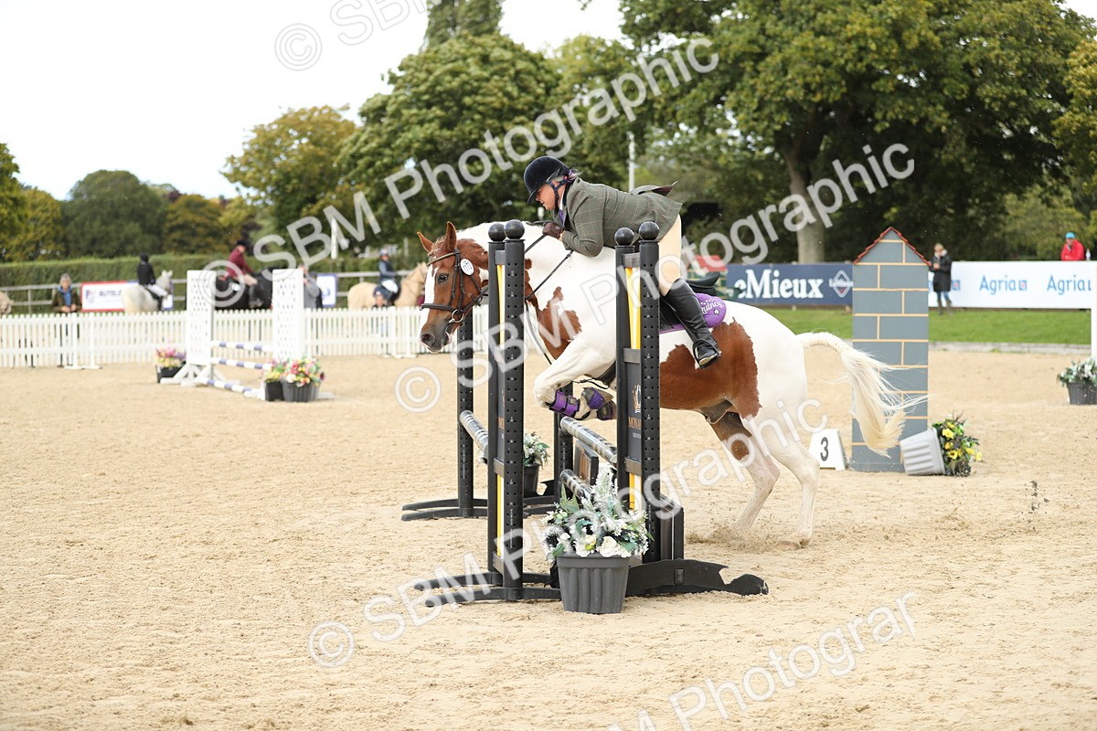 SBM_09882 - J36 - Veteran Rider 70cm