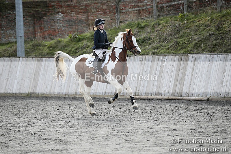 BVRC SJ 170319 735 - Bourne Valley Riding Club Showjumping 17/03/19