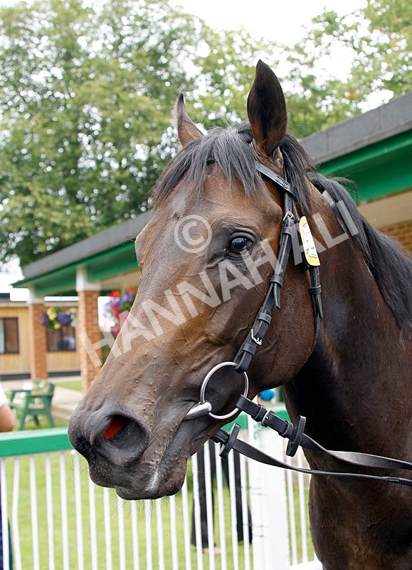 250725-Race 3-Lifeplan-88296 - Race 3