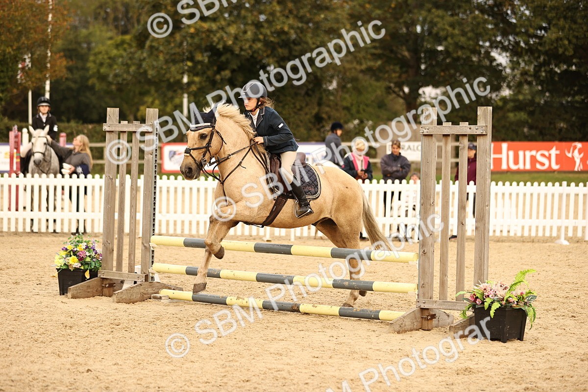 SBM_74463 - J14 - Junior Pony 65cm Championship