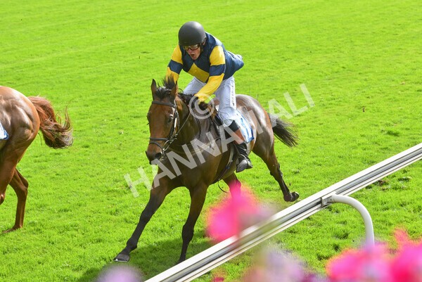yr24092021r1-155 - Race 1 1.10pm Ernest Cooper Macmillan Ride of Their Lives