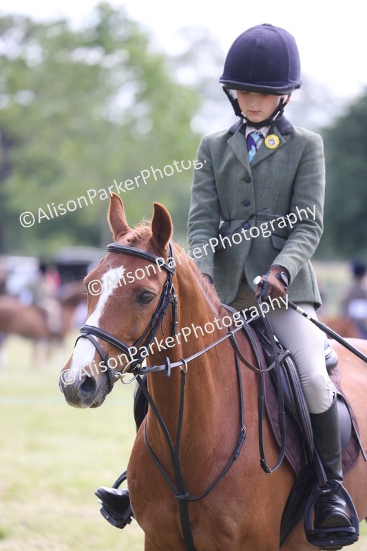 20260614-1844 - Class 21 - Novice Working Hunter Pony