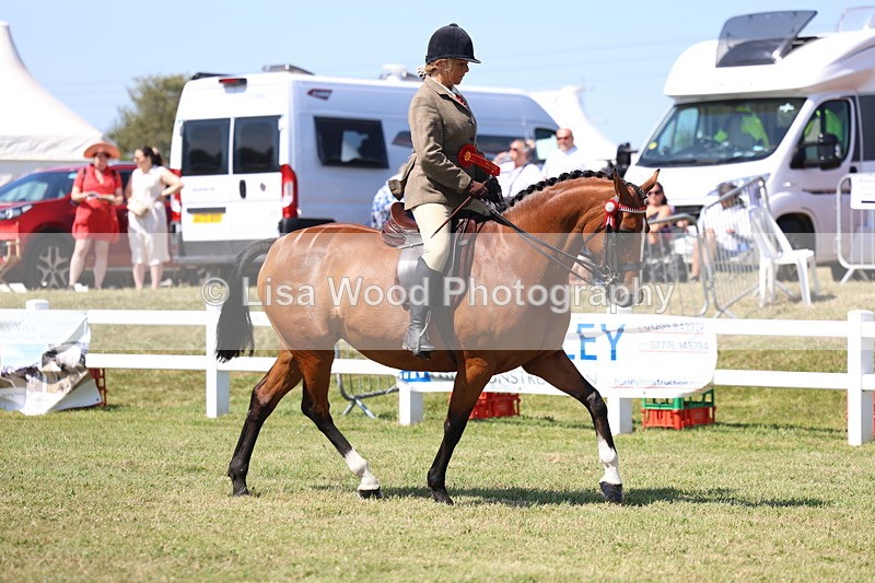 3E7A7489 - Rising Star Ridden Championship