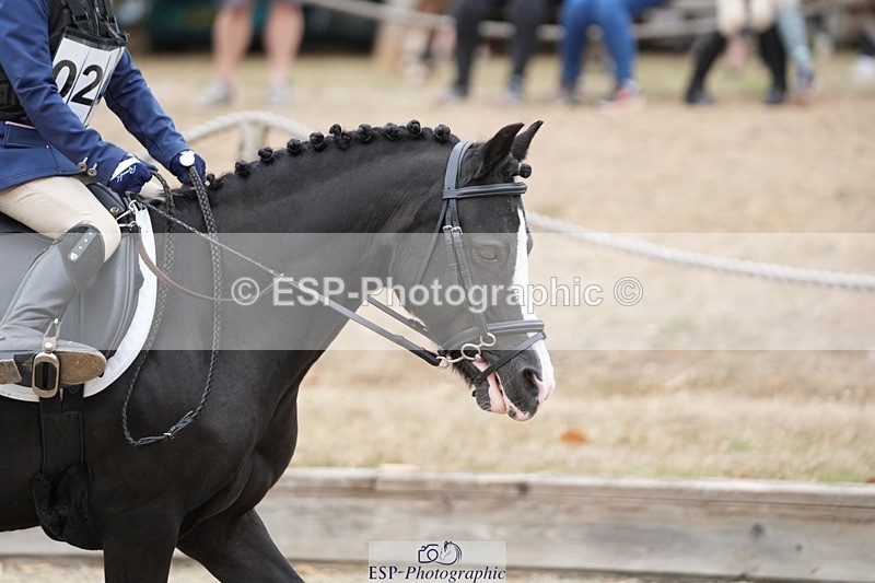 250820A-151046-10627 - Round 2, 14.45 to End