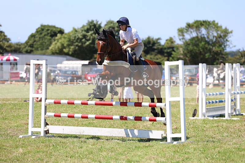 3E7A5490 - Class 9: Senior British Novice/90cm open