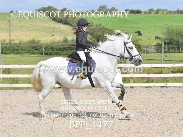 BPP_1477 - DERBY CLASS 3 - 40CM