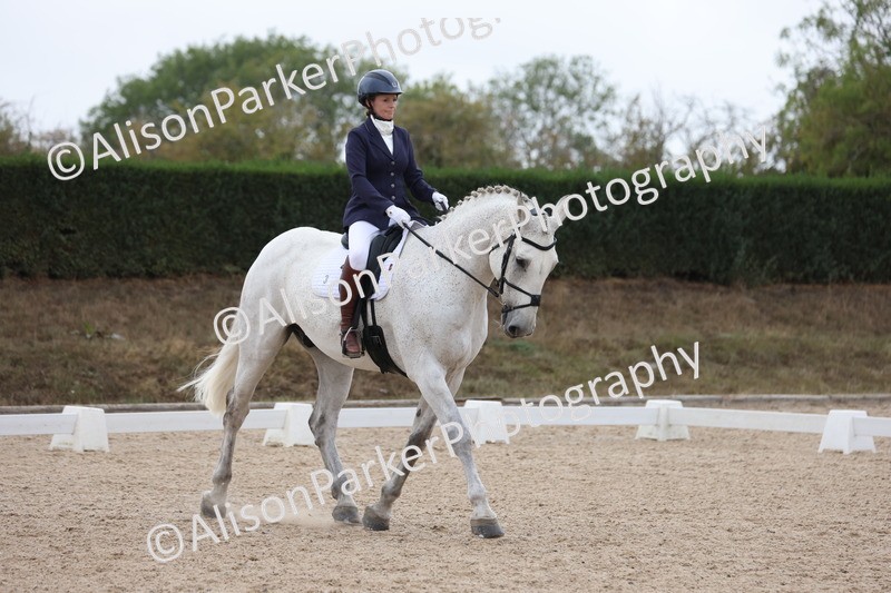 20250820-0305 - Class 11 - My Quest Novice 3