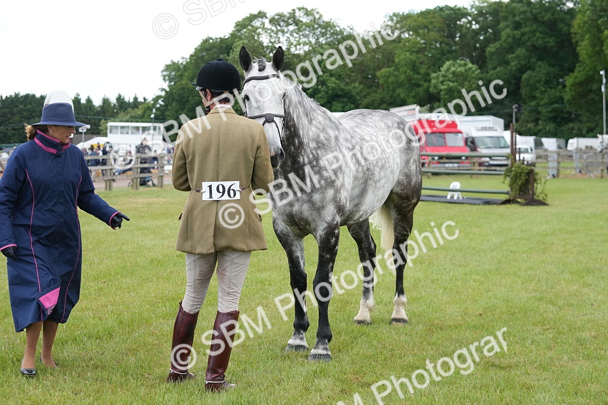 SBM_14893 - Class 100-102 - RIHS Working Hunter