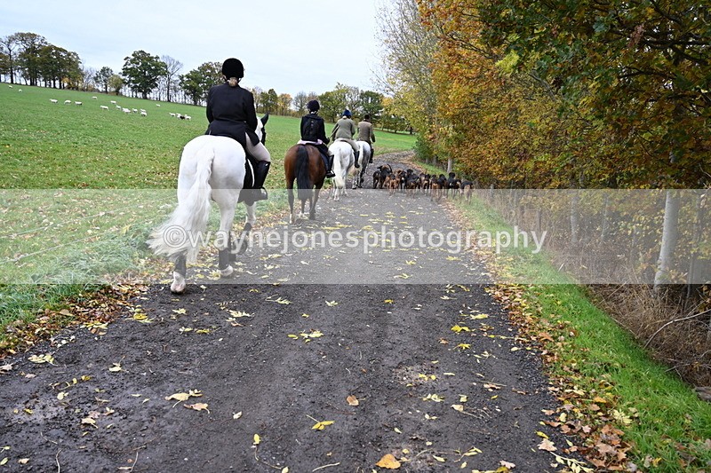 WJ6_9255 - Ride