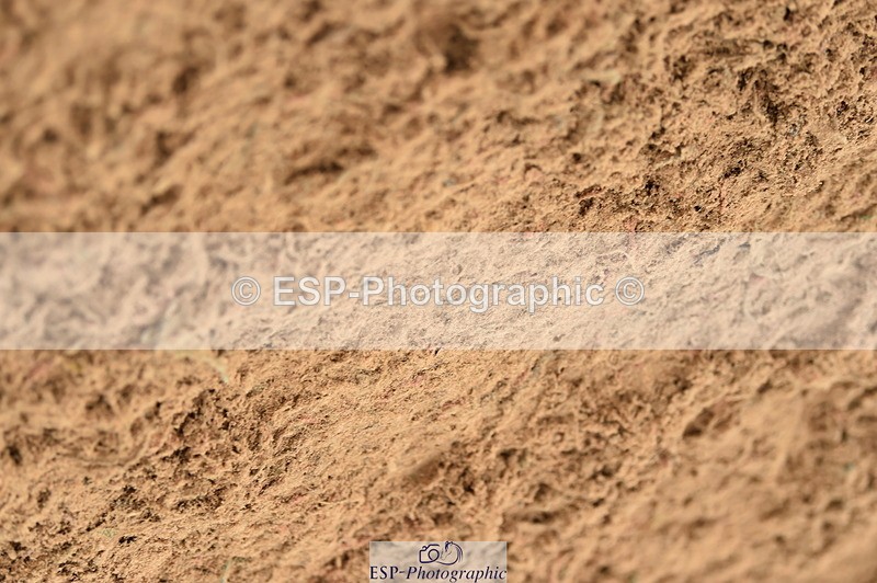 231122A-130806-00418 - Cls 4 Newcomers & 1.10m Open