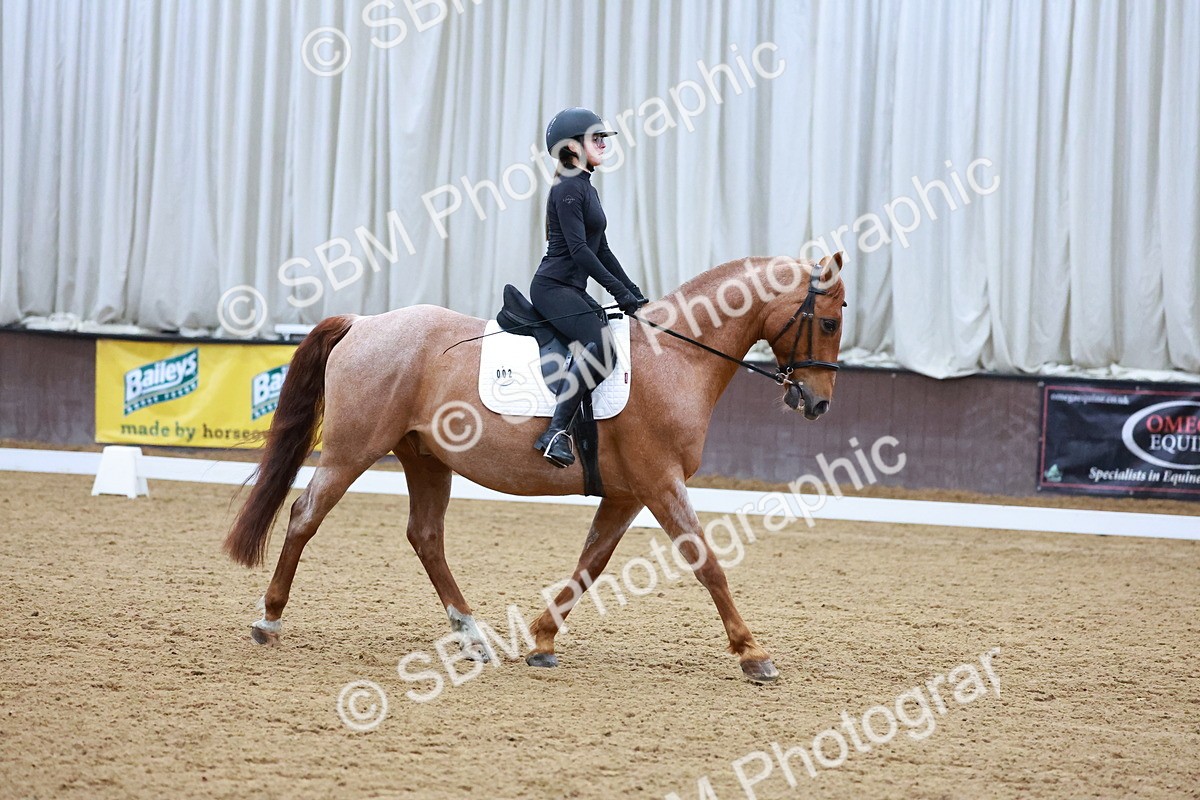 1I0A0931 - Class 3-6 - Prelim 1-Novice 2