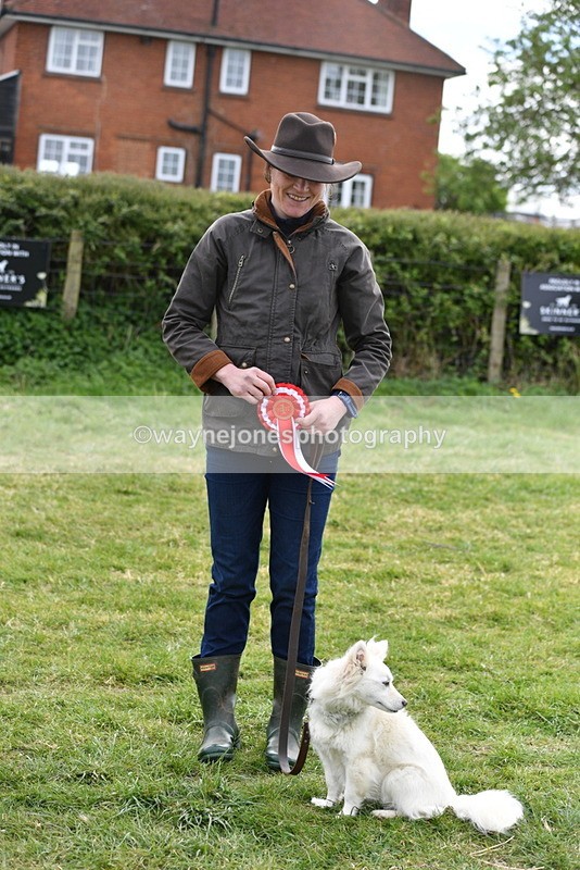 WJ5_9396 - Class 1 Best Cross Breed / Heniz 57