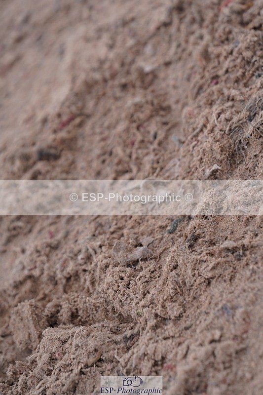 250628-114610-04387 - Cls 22 Springboard