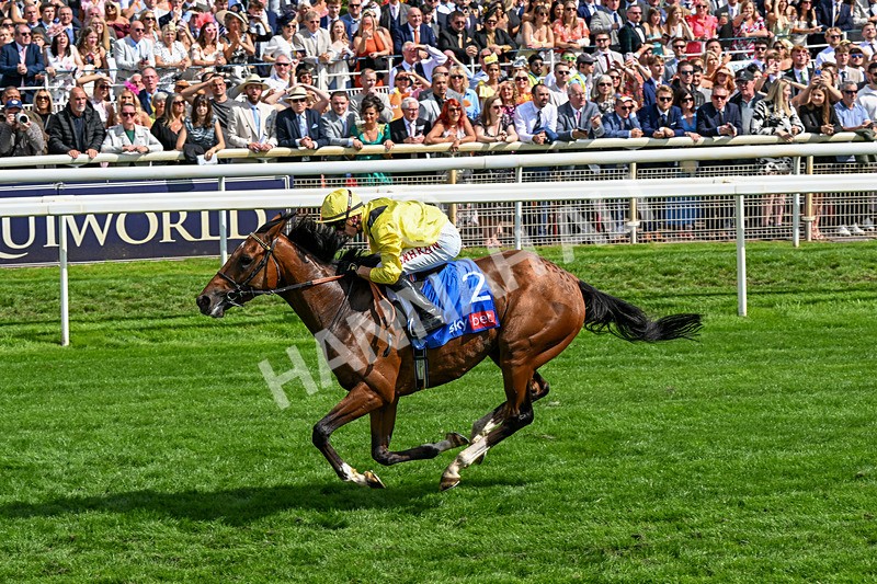 220826-Race 2-Infraad-0317 - Race 2 14.25pm Sky Bet Melrose Handicap