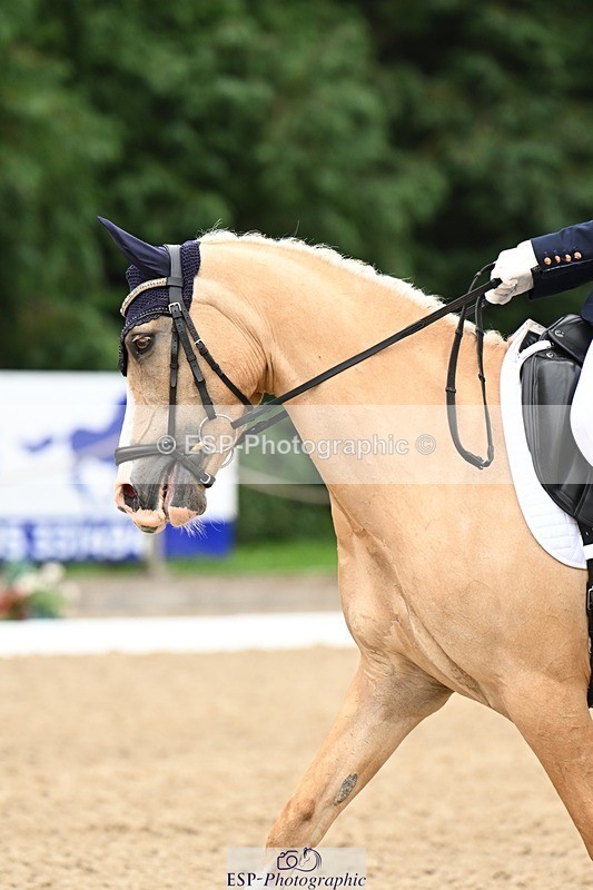 240811-122622-05832 - 301-Sophia.Longworth-Don.Deluxe