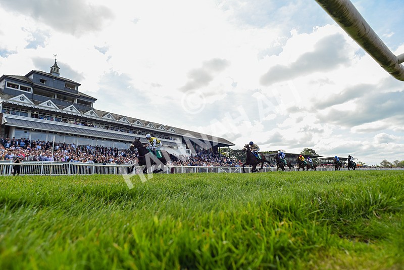 020526-Race 1-Arapaho Gold-1657 - Race 1 1.35pm Steve Poskitt's 60th Birthday Restricted Maiden Stakes