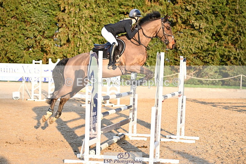 250322A-172957-03775 - Cls 14 Snr Fox & 1.20m Open