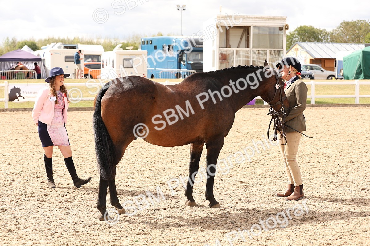 SBM_14702 - Class 208 - IH Veteran Horse