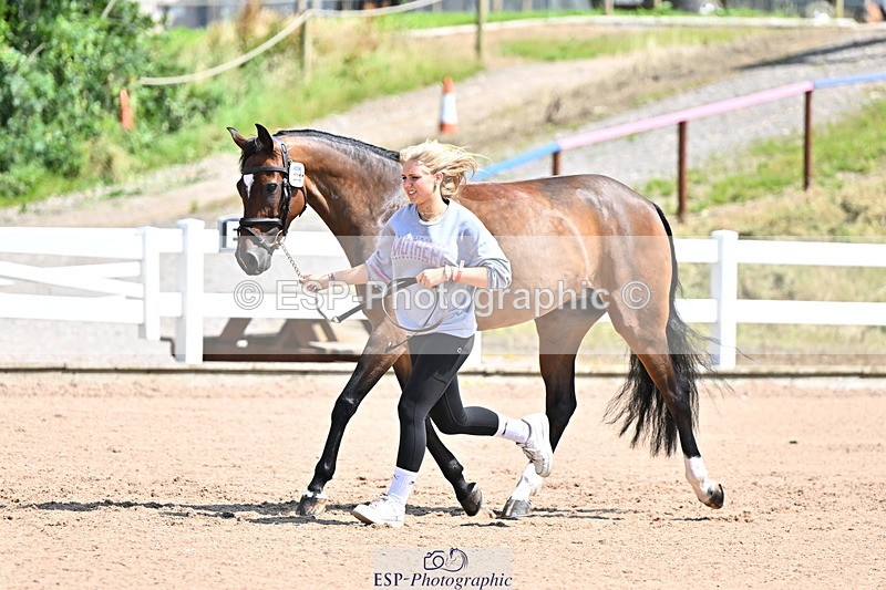 240718A-105244-01092 - Trot Up 12pm to 1pm