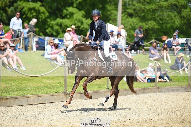 230528-120326-15508 - 376-DIRECT_BALLYTARSNA_DUCAREL-Jodie_Amos-SUNTrotUp+SJ