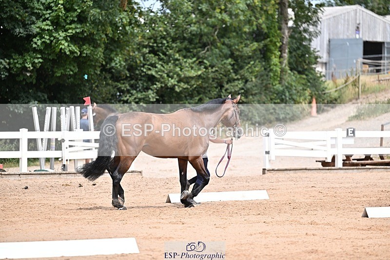 250716-132727-00525 - Trot Up 12.30 to 1.30