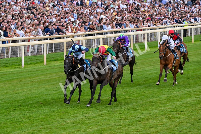 250726-Race 7-Flight Control-1316 - Race 7 16.52pm Sky Bet Extra Places Handicap