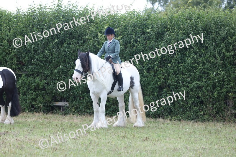 20250831-4328 - Class 20 - Ridden Coloured