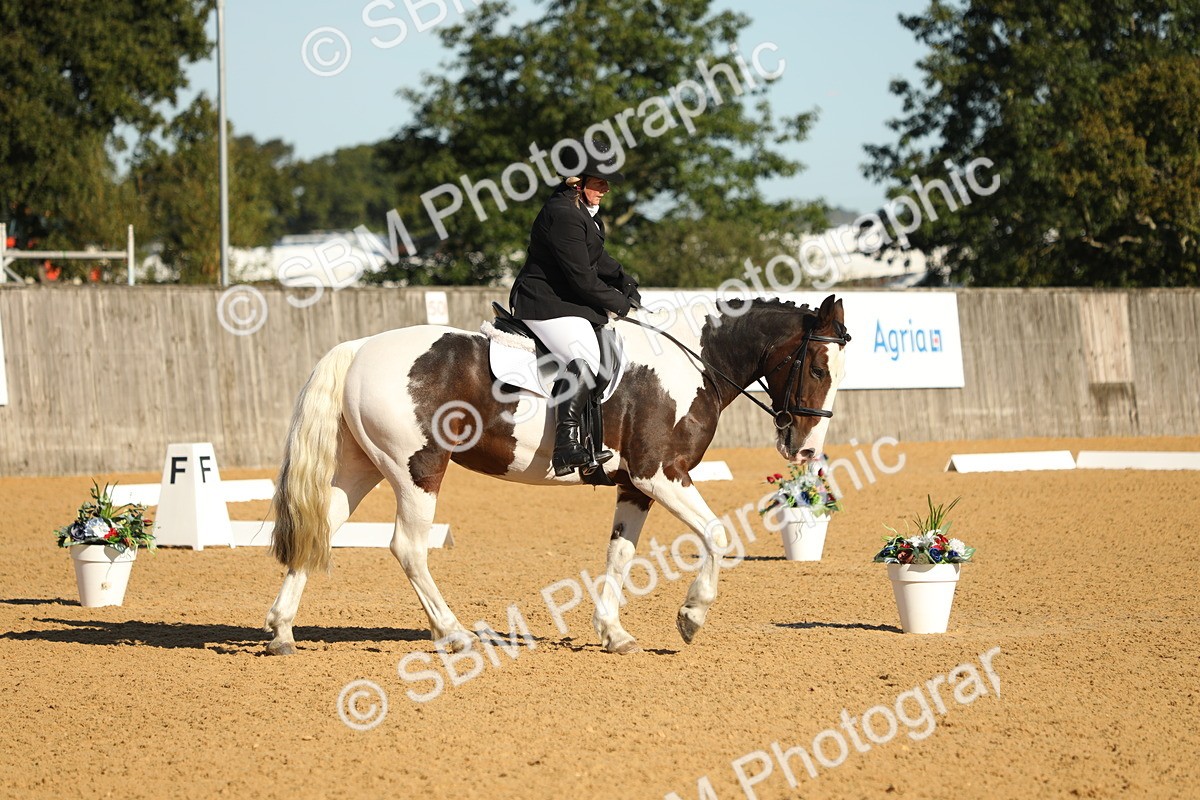 SBM_16456 - D10 - Small Tour Championship - Prelim 2