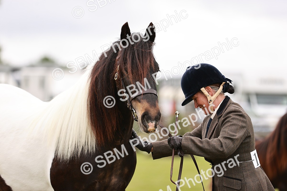 SBM_05977 - Class 39-41 TGCA In Hand and Ridden