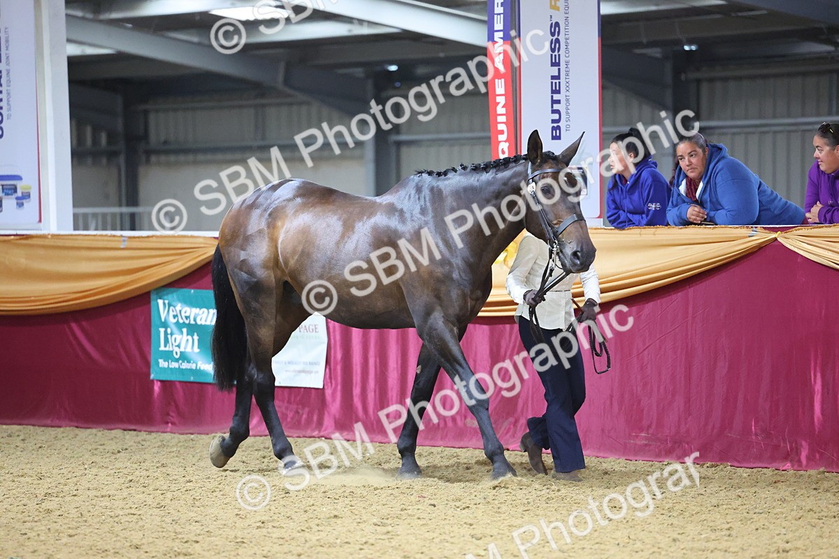 SBM_20748 - Class 902 - Supreme Final IH Veteran