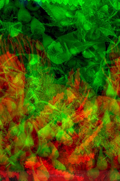 STILL LIFE-CYCLE - STILL LIFE-CYCLE I 2012