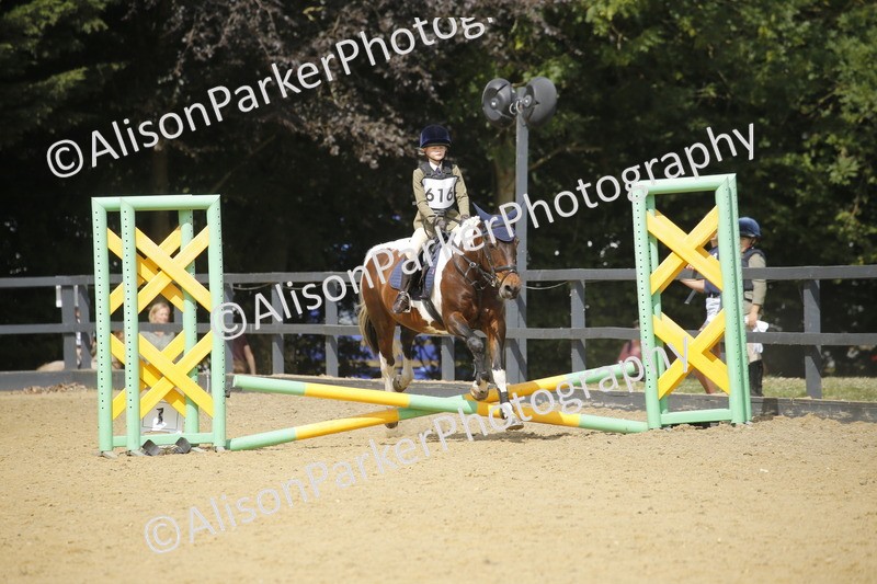 20250622-3775 - 50cm