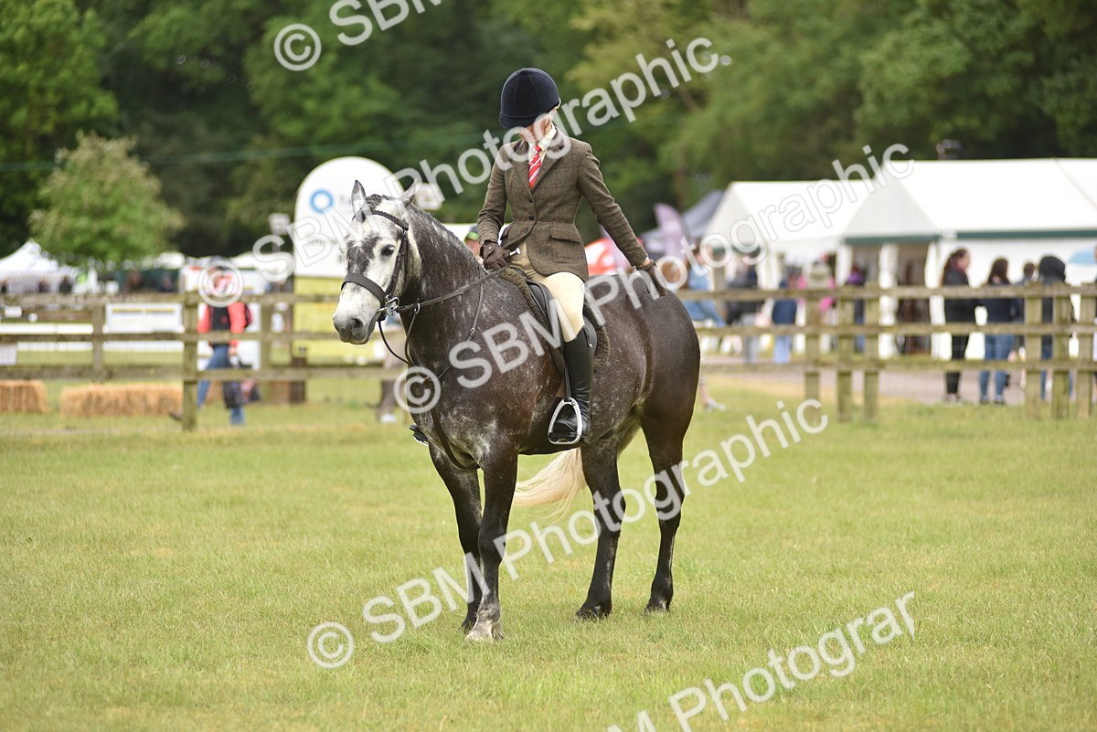 SBM_12111 - Class 110-112 - LIHS BSPS Performance Pones