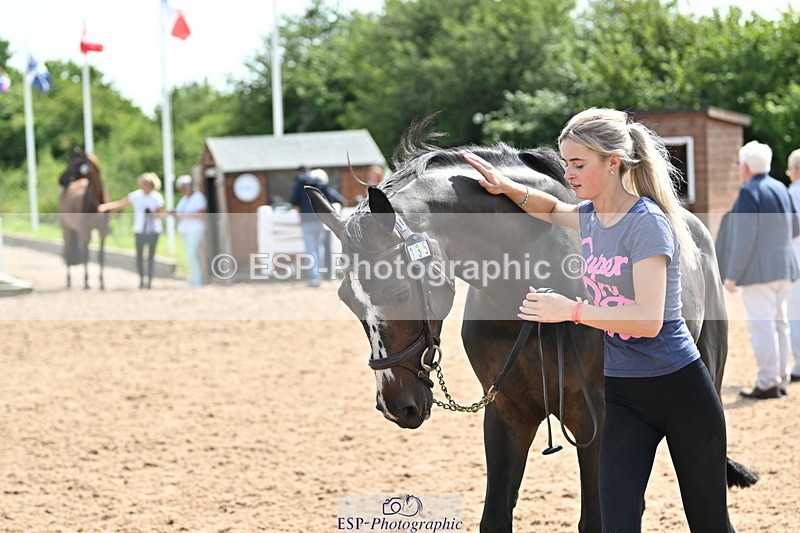 240717A-154229-02996 - Trot Up 3pm to 4pm