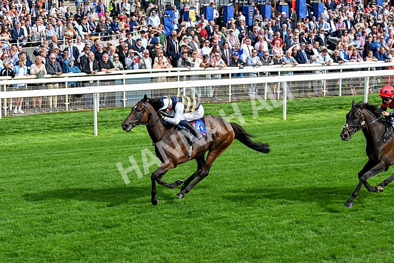 190826-Race 5-Small Fry-0667 - Race 5 16.10pm Sky Bet Stayers Handicap