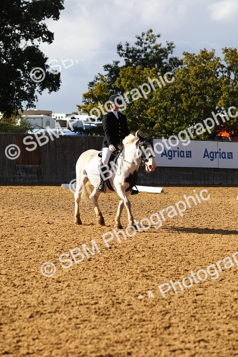 SBM_52485 - D23 - Junior Championship Prelim 1