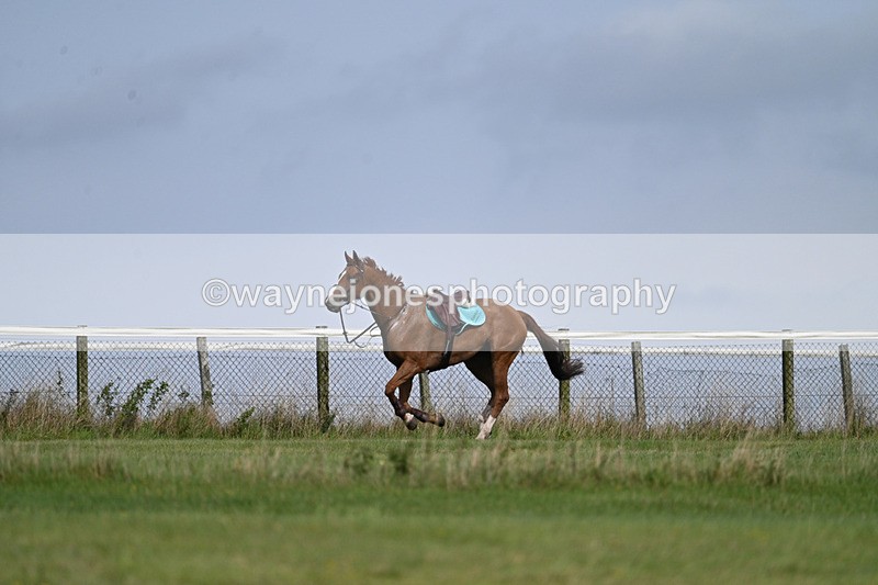 WJ7_7523 - Time 13:21 to 13:29