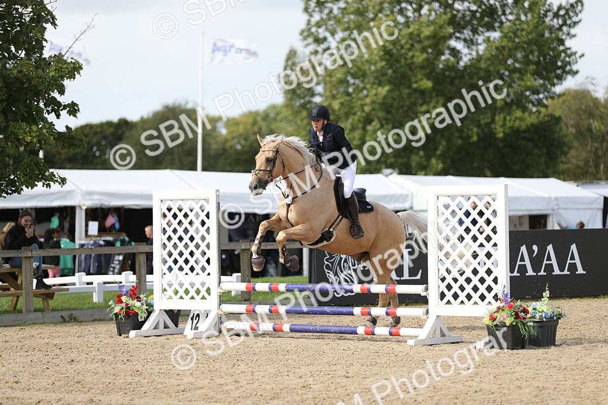 SBM_05745 - J35 - Veteran Rider 60cm