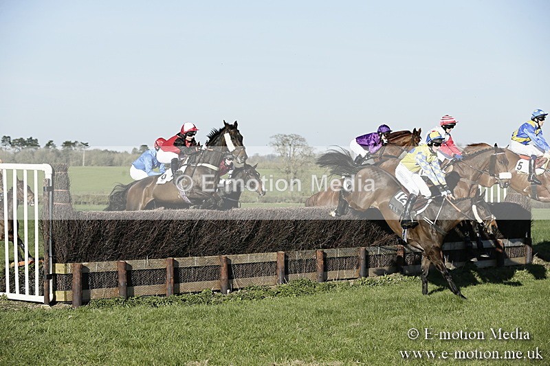 PtP 250317 457 - V.W.H. Hunt Point-to-Point Siddington 25/03/17