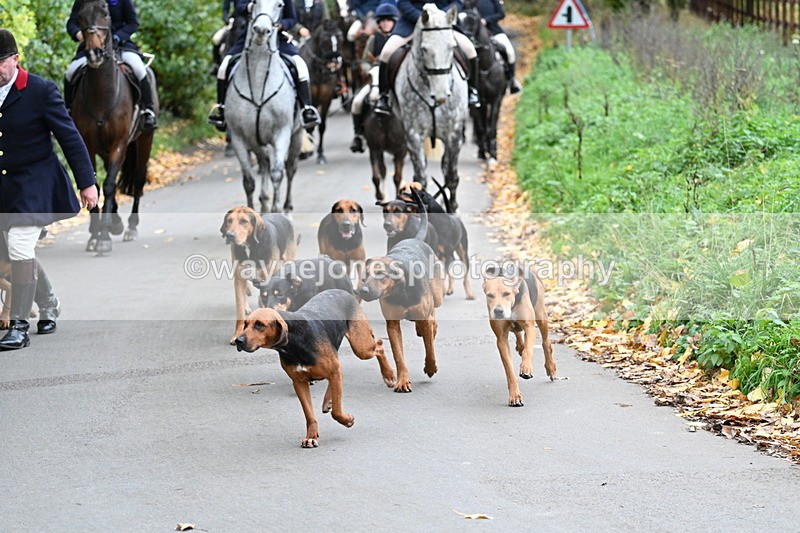 WJ7_7197 - Walk Home..