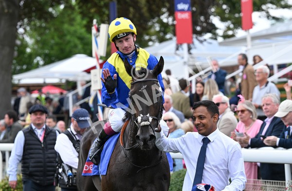230825-090 Never So Brave - Race 3 3.00pm Sky Bet City Of York Stakes