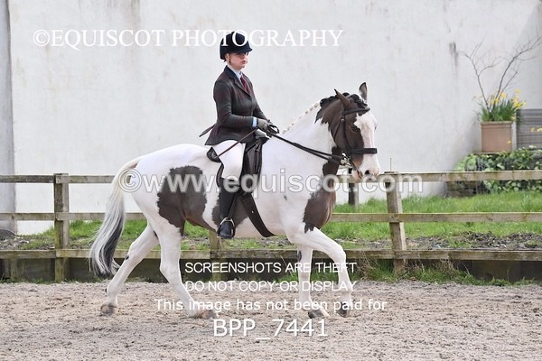BPP_7441 - RING 1  (RIDDEN HORSES / IN HAND / VETERAN ETC)