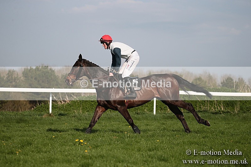 PtP 210418 566 - South & West Wilts Point-to-Point Larkhill 21/04/18
