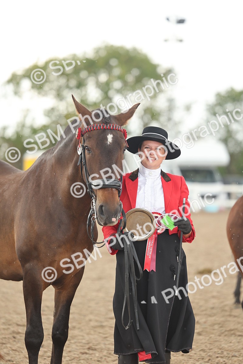 SBM_07703 - Class 26 - IH Foreign Breeds - Part Bred