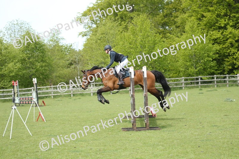 20260426-2003 - Class 15 - Absolute Novice 70cm